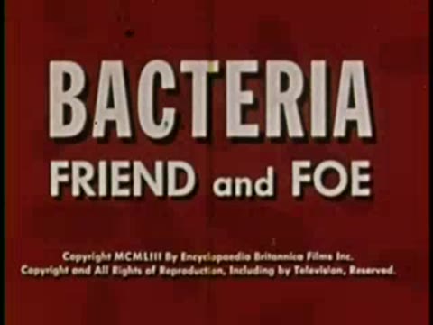Bacteria: Friend and Foe