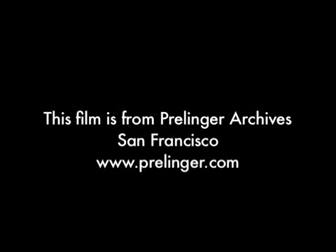 Report in Primary Colors