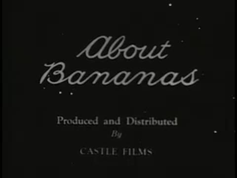 About Bananas