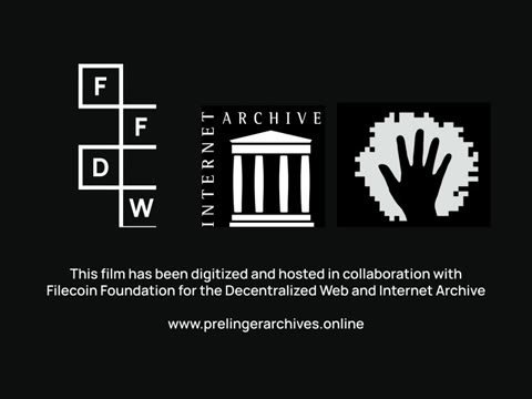 The Human Factor In Driving