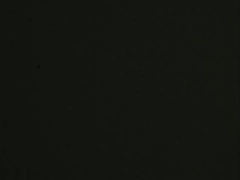 Home Movie: 97144: Unidentified